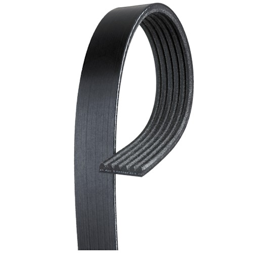 アクセサリー n_t1007 K060755 Gates Serpentine Belt for Chevy F350 Truck S10